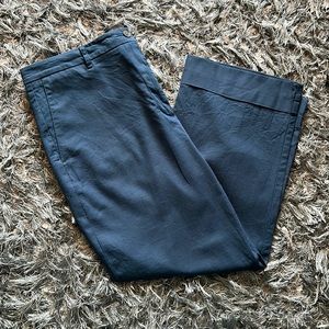 Ann Taylor blue pants